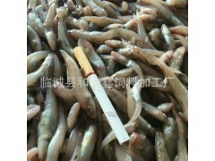 從田間到餐桌 農業全產業鏈中的技術革新與生態發展